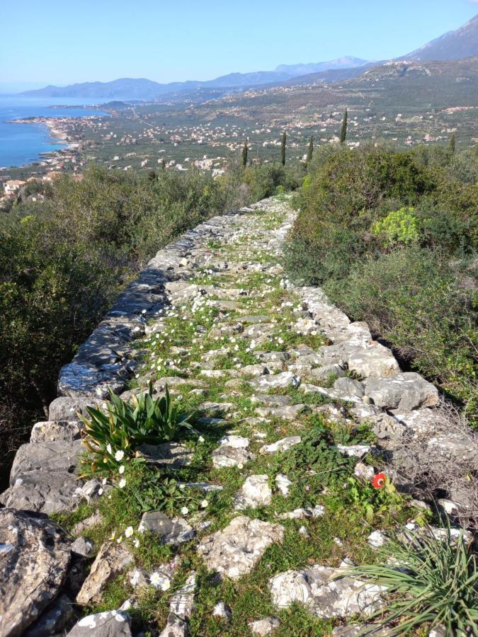 Villa Pefnos Agios Nikolaos  Bagian luar foto