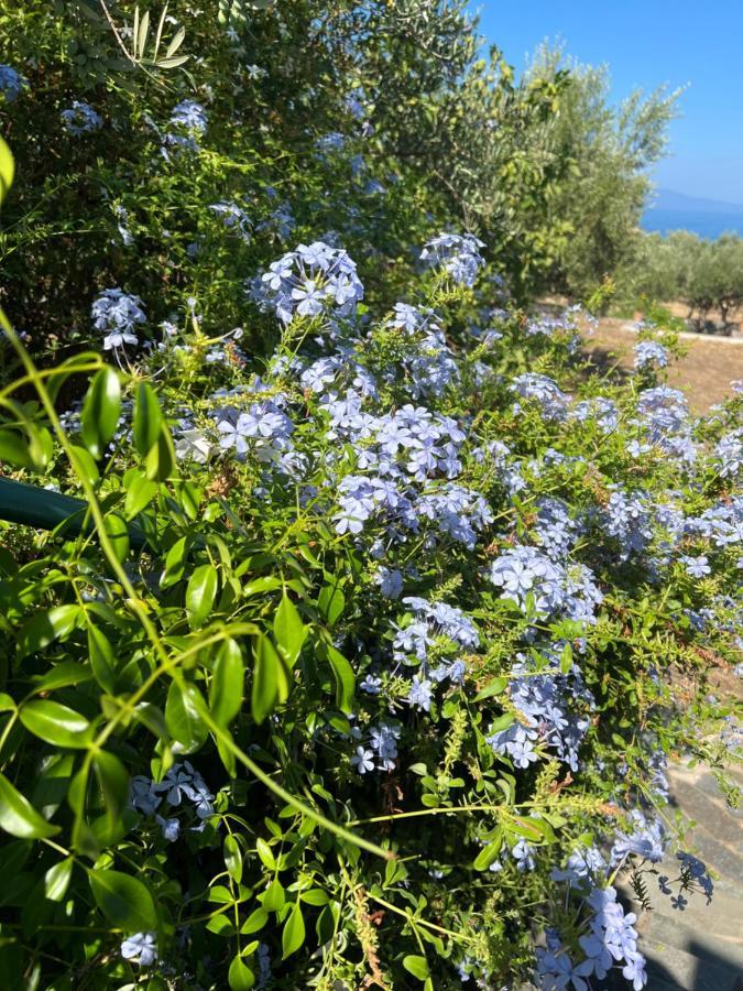 Villa Pefnos Agios Nikolaos  Bagian luar foto