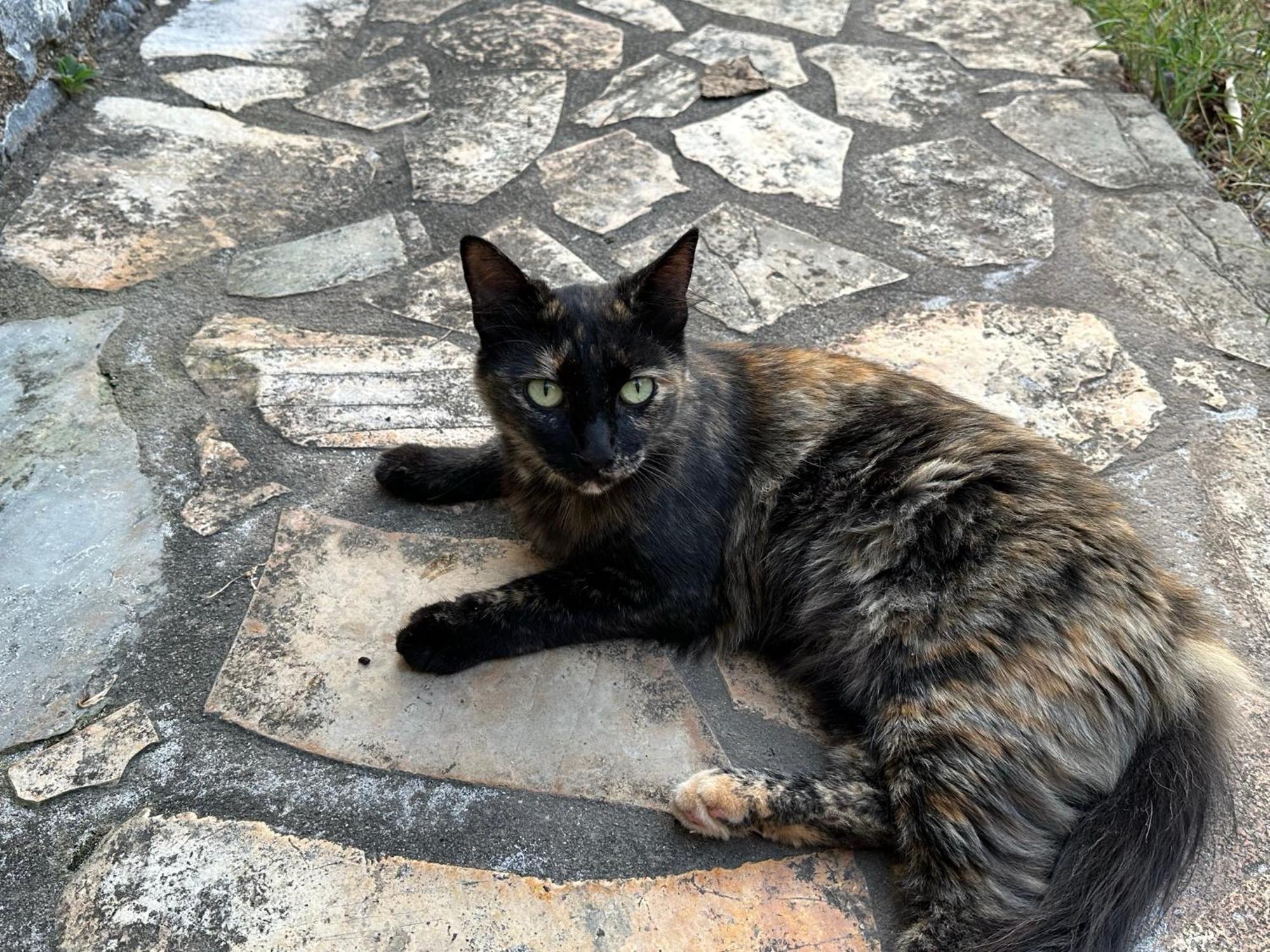 Villa Pefnos Agios Nikolaos  Bagian luar foto